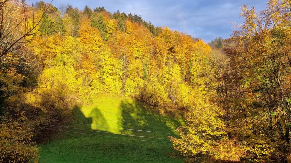 Natural landscape