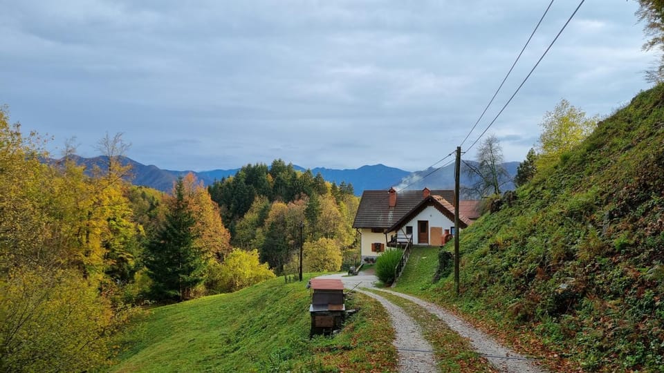 Day, Natural landscape