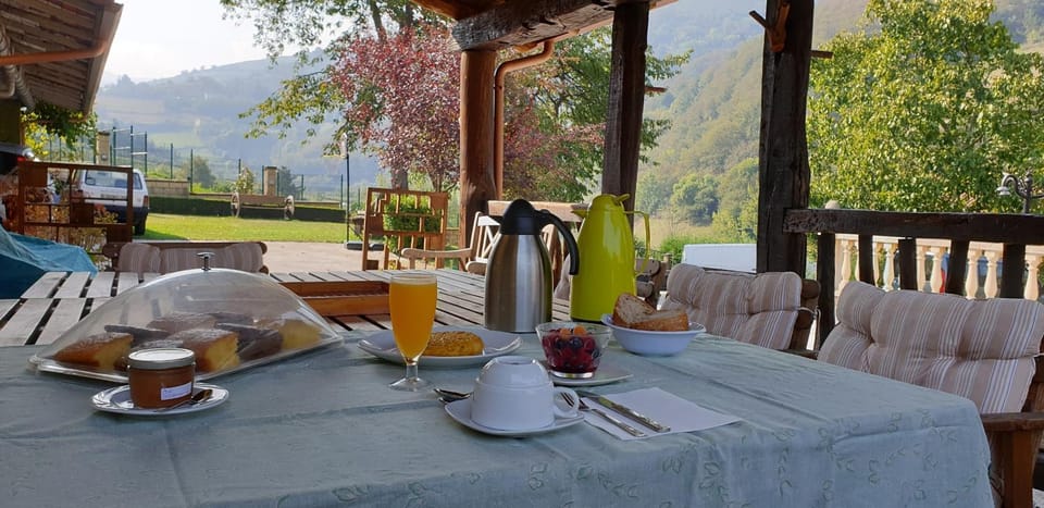 Natural landscape, Garden, Breakfast