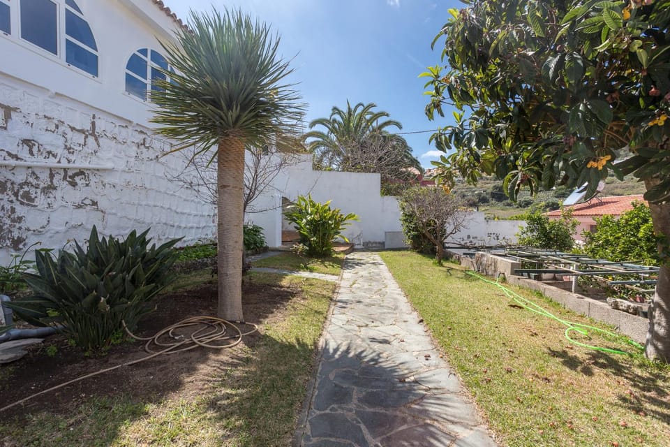 Patio, Garden, Garden view