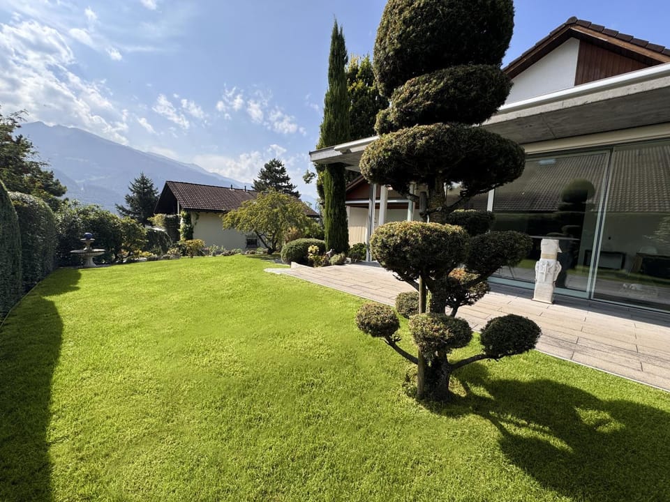 Garden, Mountain view