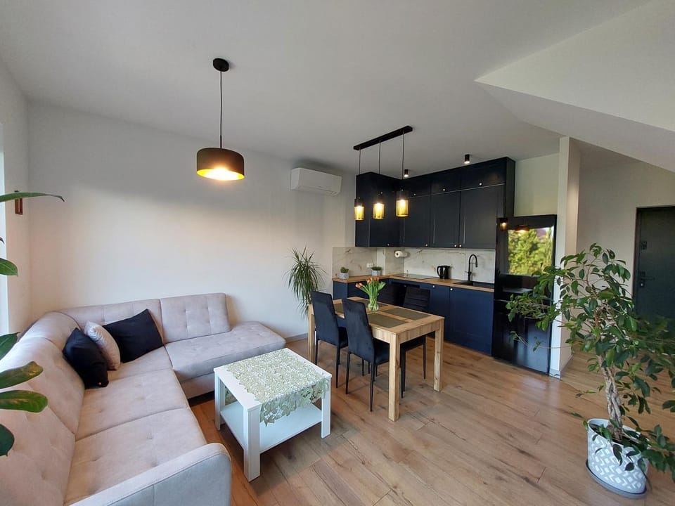 Kitchen or kitchenette, Living room, Dining area, stove