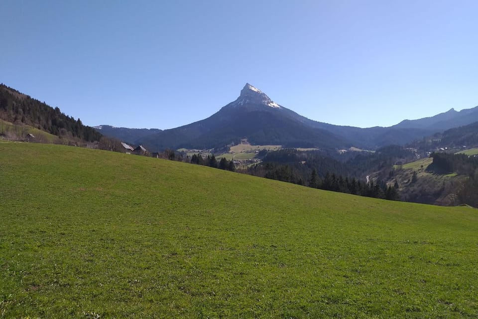 Mountain view