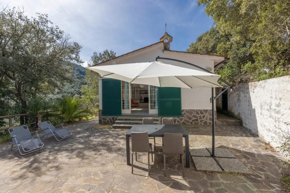 Property building, Patio, Natural landscape, Dining area, Garden view