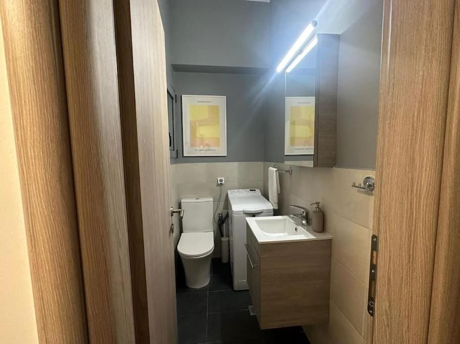 Spacious stulish 2 bd flat Apartment in Athens