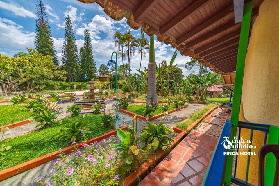 Day, Natural landscape, Garden, Garden, Garden view