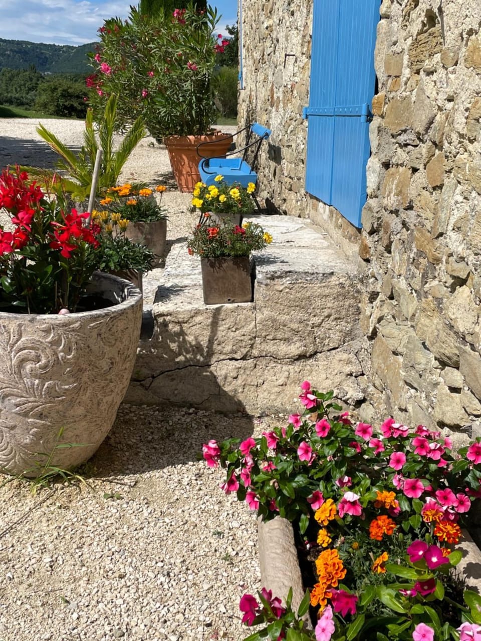 Garden view