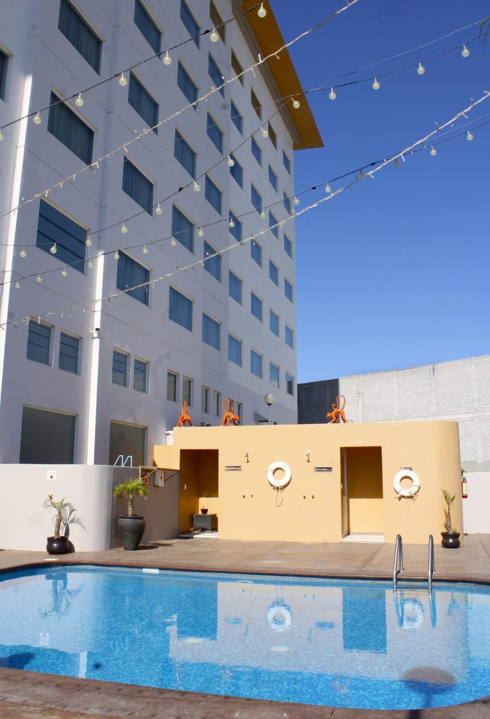 Swimming pool