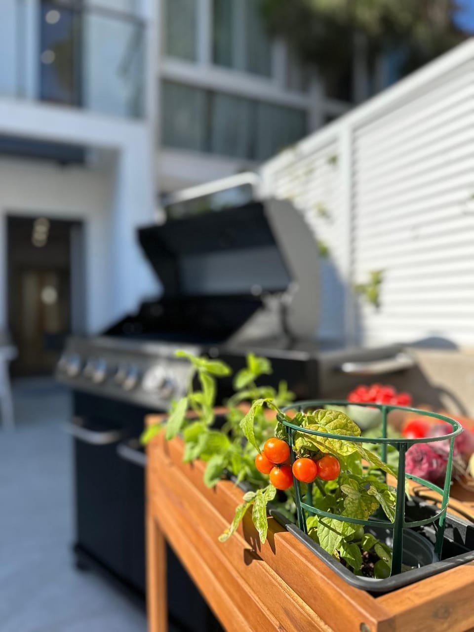 BBQ facilities