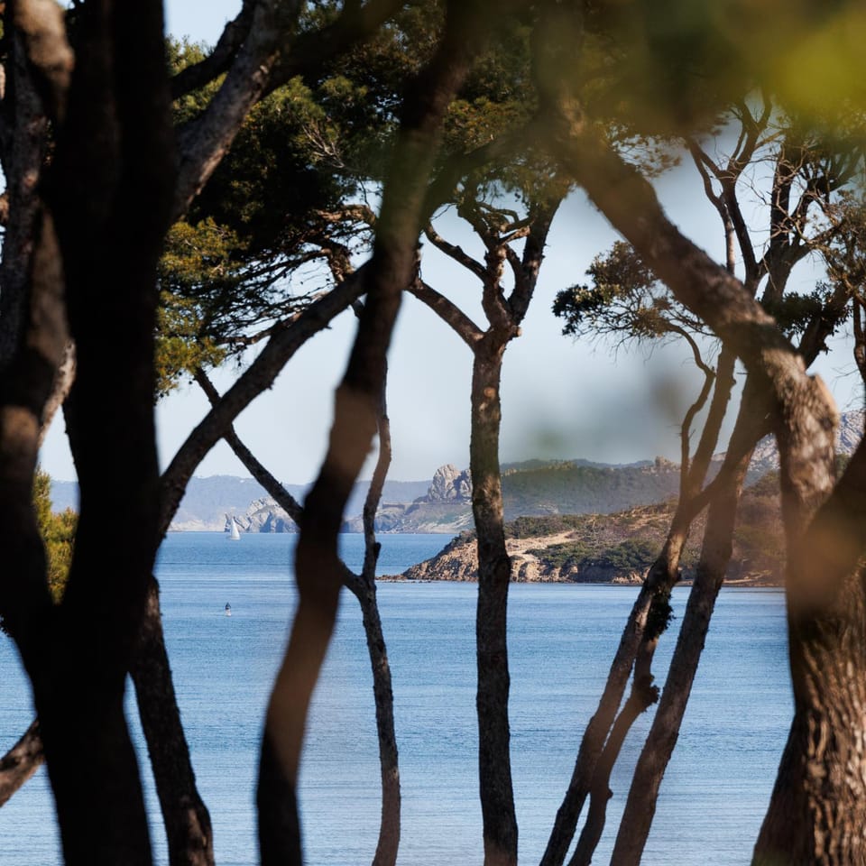 Natural landscape, Sea view