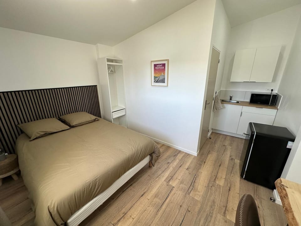 Kitchen or kitchenette, Photo of the whole room, minibar, oven, air conditioner