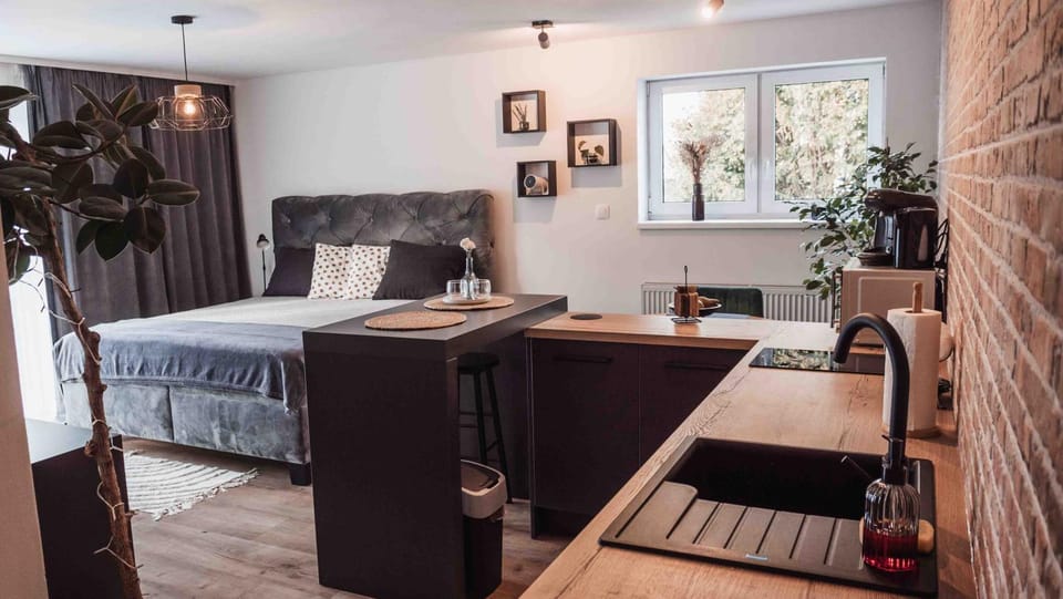 Modern apartment in centre, self check-in & free parking Apartment in Slovakia