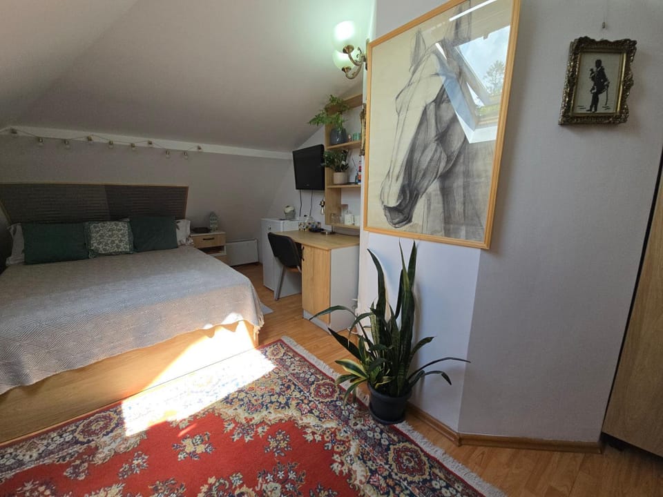 Mika Room Apartment in Cluj-Napoca