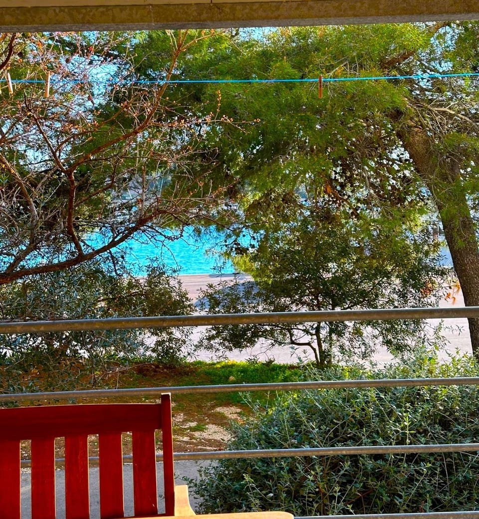 Day, View (from property/room), Garden view