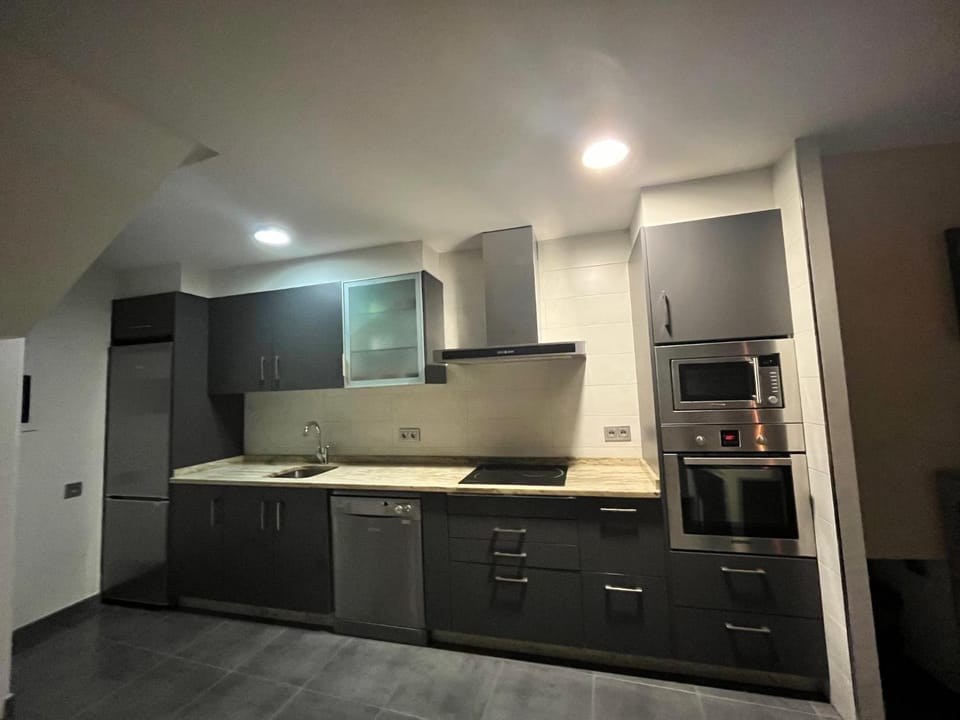 Kitchen or kitchenette, dishwasher, minibar, pet friendly, stove