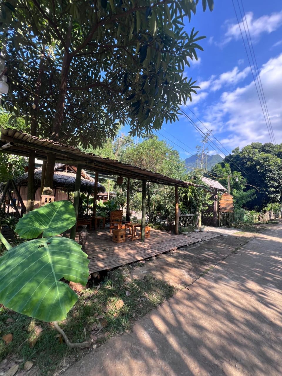 NHÀ CỦA CHI - HOMESTAY FOOD & COFFEE Vacation rental in Laos