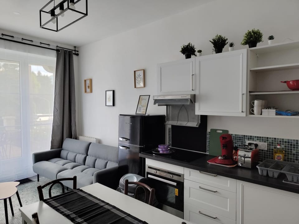 Kitchen or kitchenette, Living room, stove, toaster