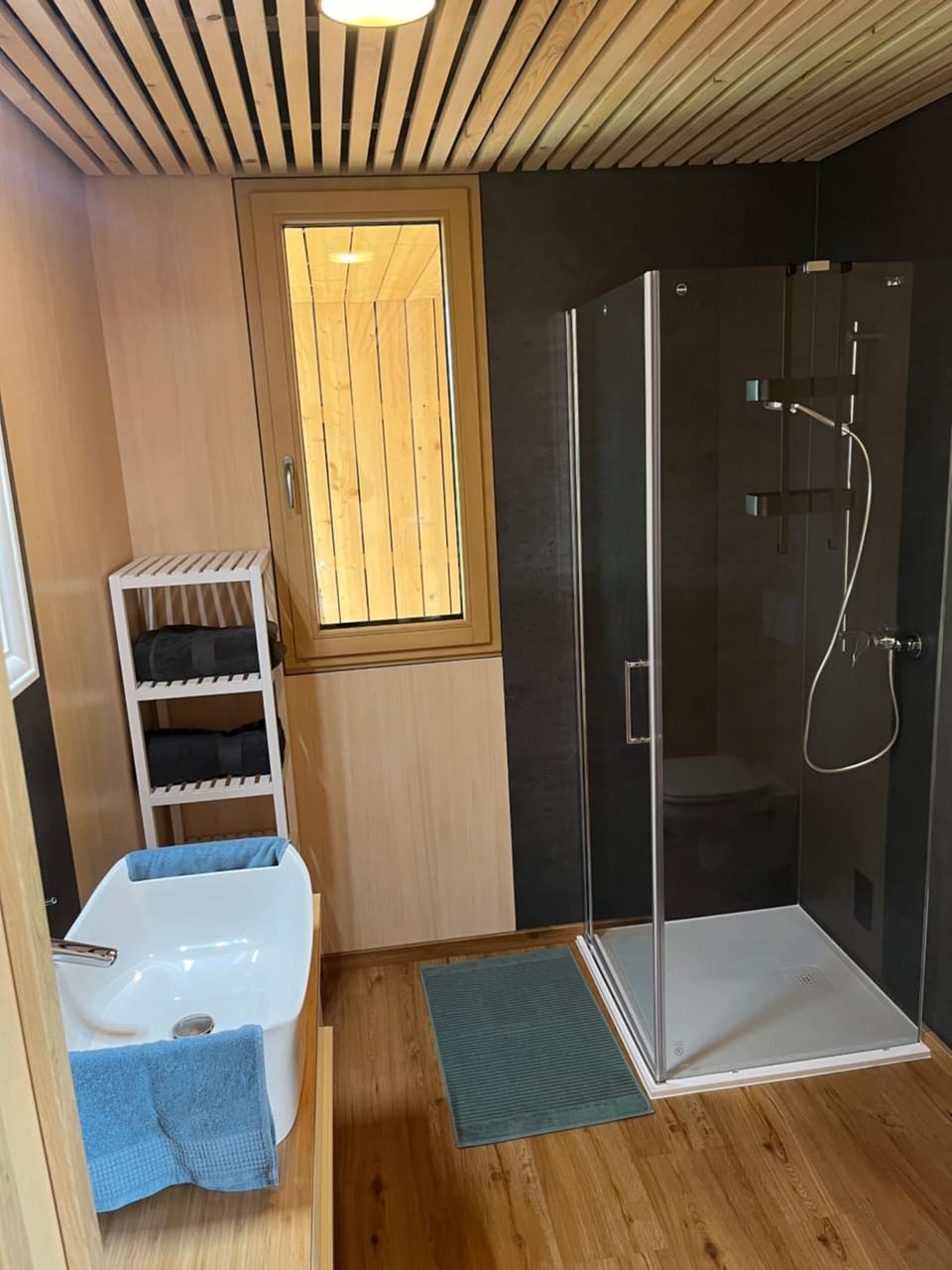 Shower, Bathroom, towels