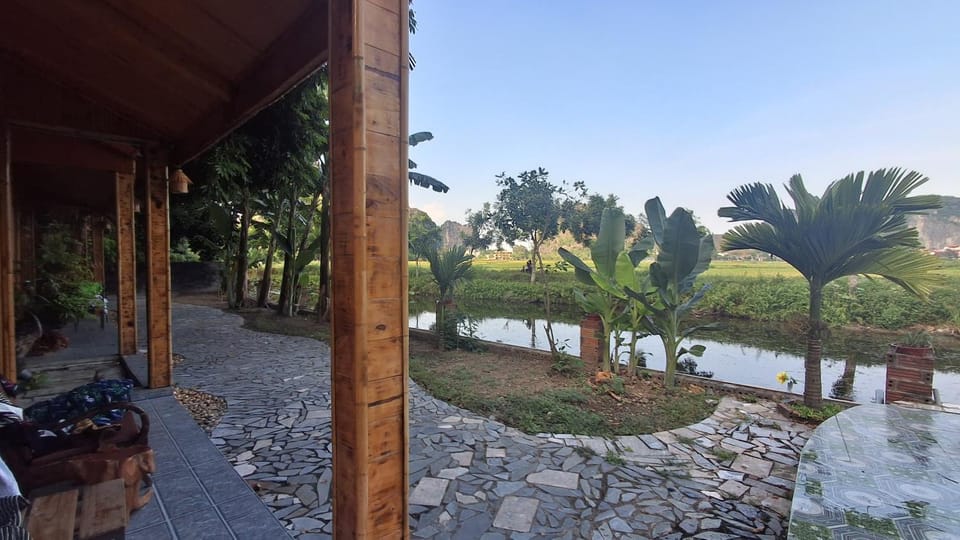 Day, Natural landscape, Garden