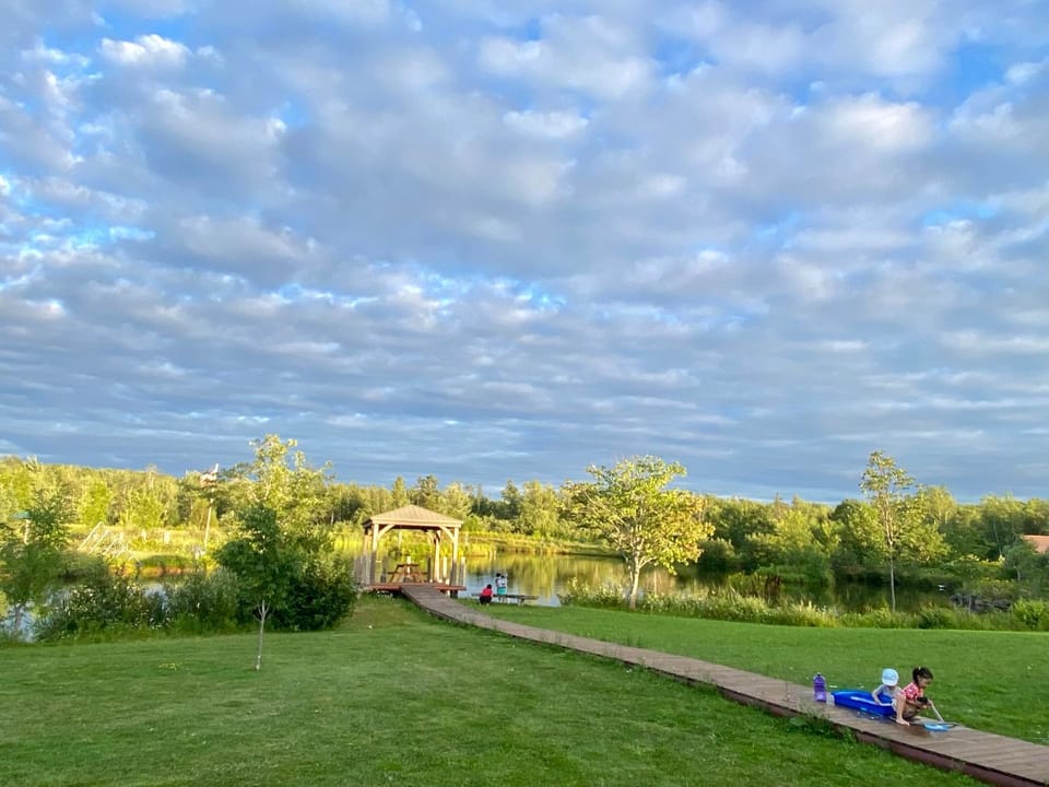 Natural landscape
