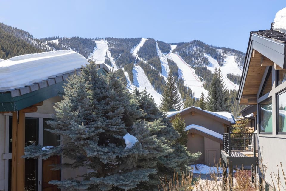 Warm Springs Ski Way Home with Pool, Pickleball, and More! House in Ketchum