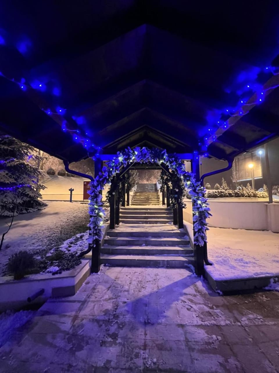 Serendipity Apartment Apartment in Serbia