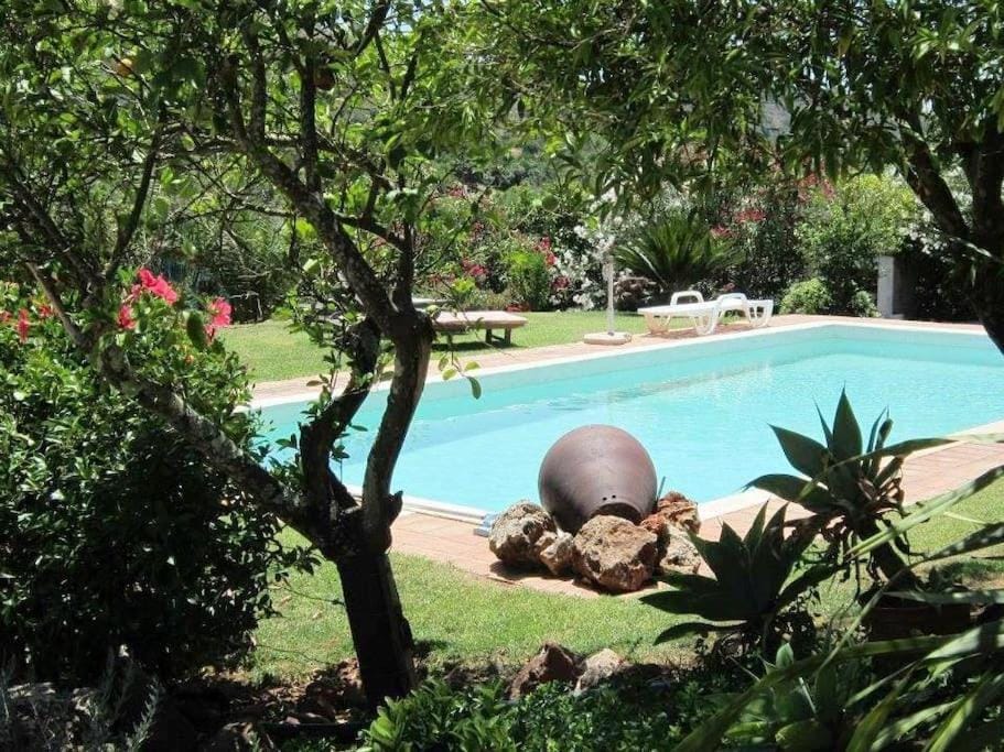 Charming Country House in Silves House in Faro District