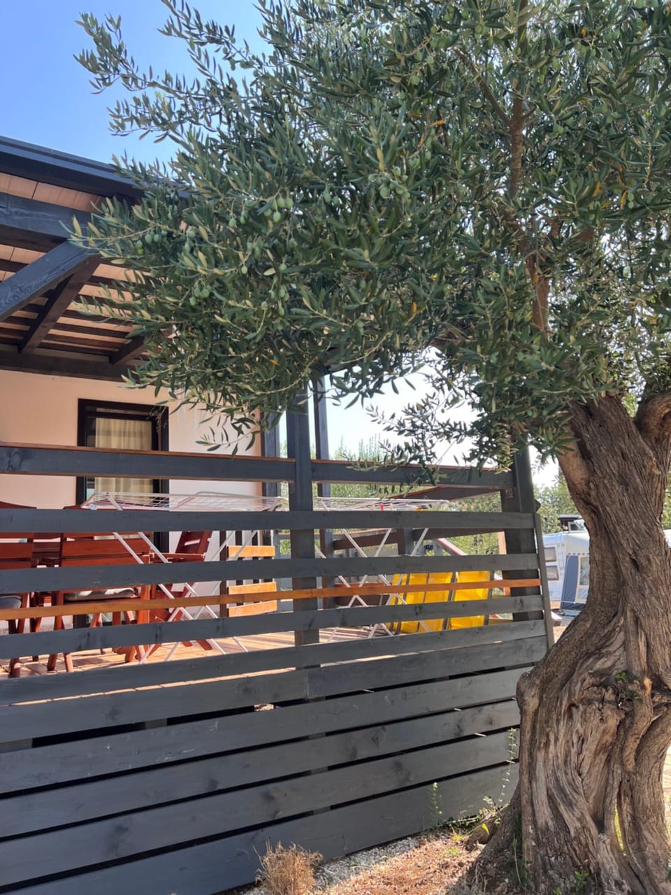 Olive House Pirovac Apartment in Tisno