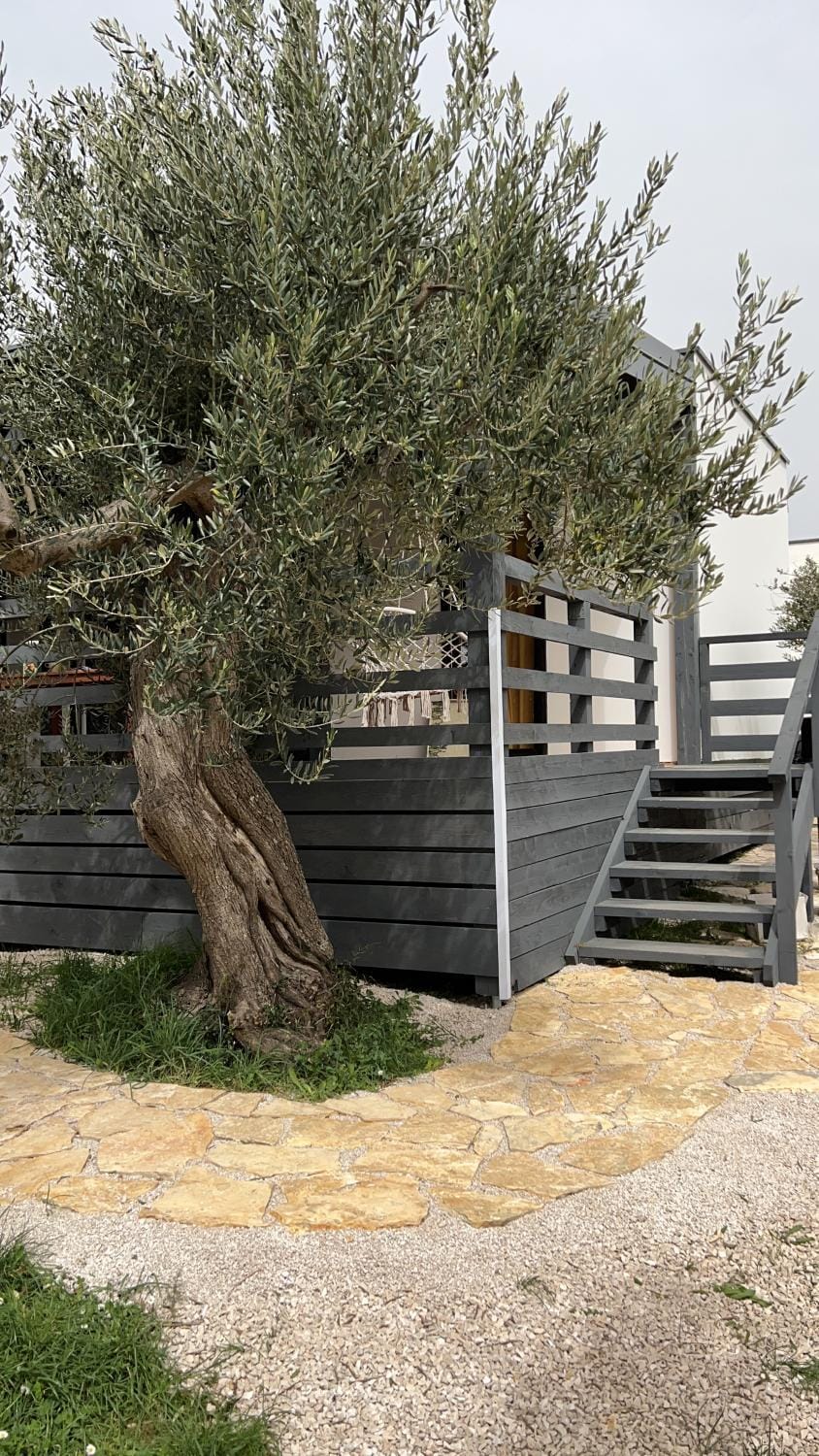 Olive House Pirovac Apartment in Tisno