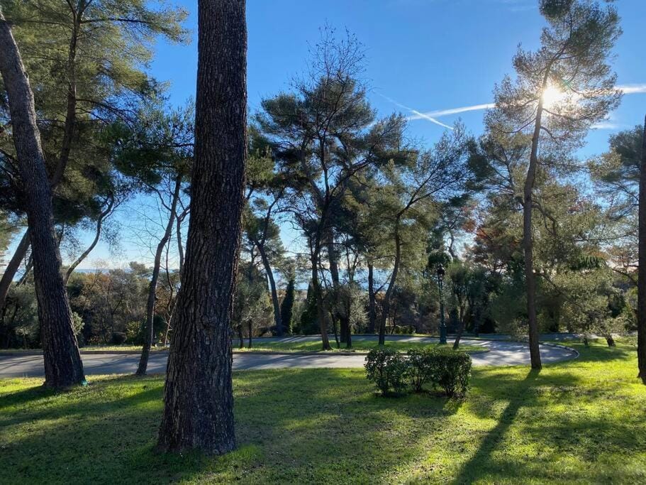Garden view