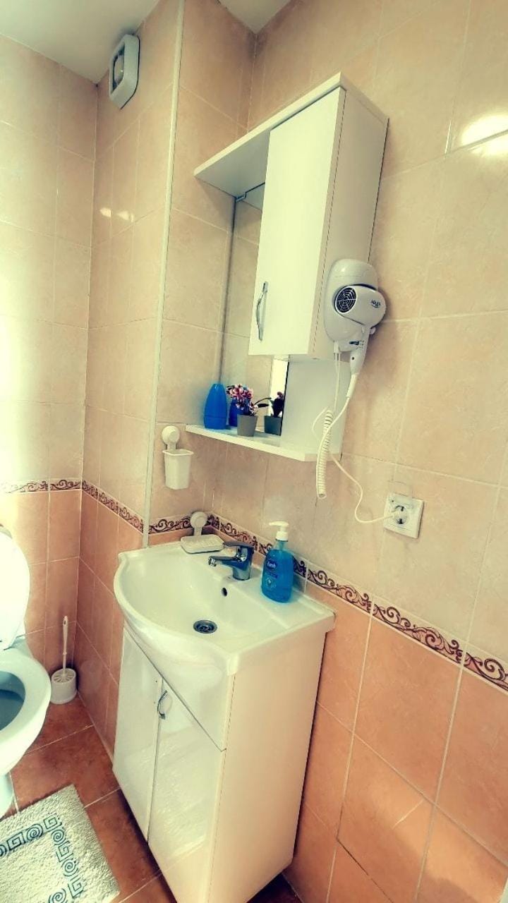 Studio Apartman Ban Apartment in Belgrade