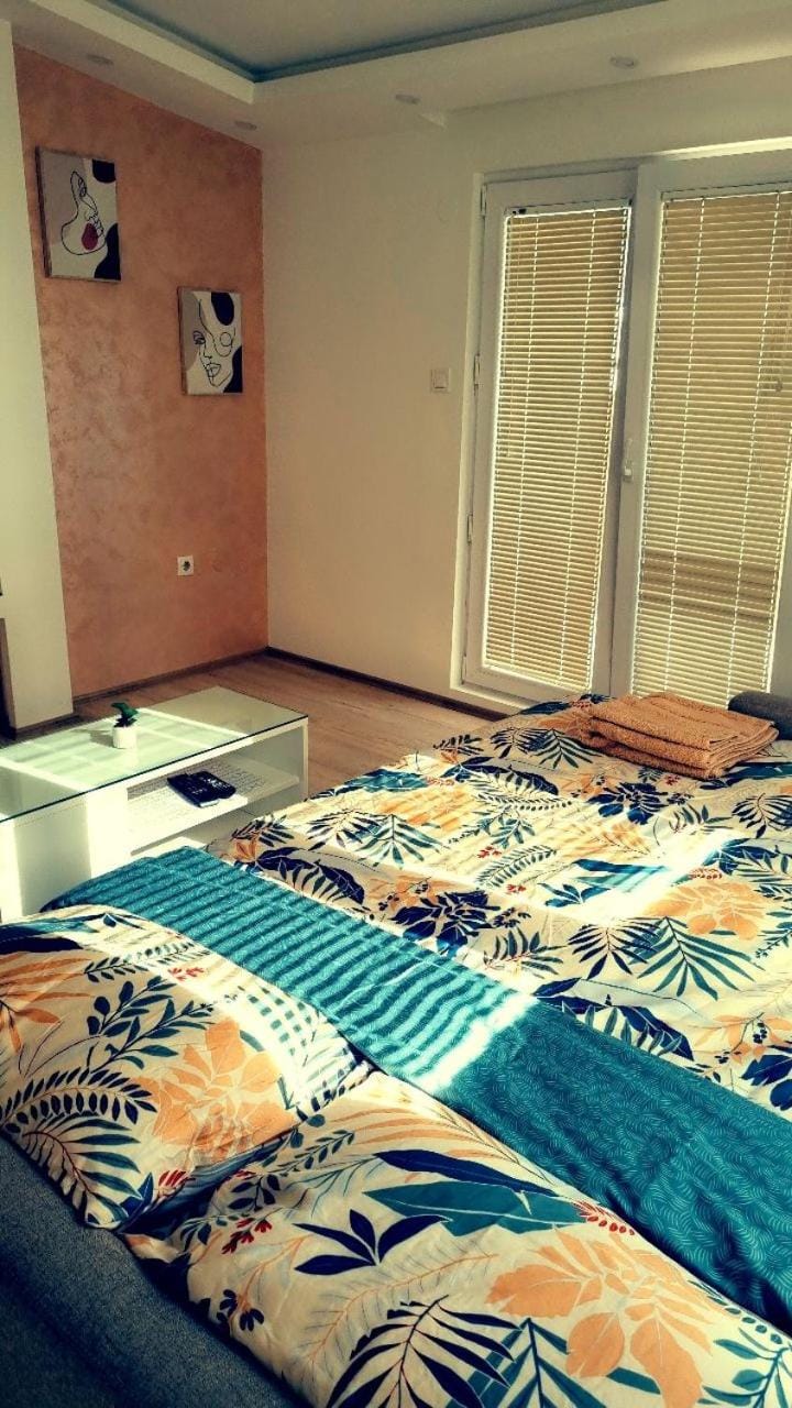 Studio Apartman Ban Apartment in Belgrade