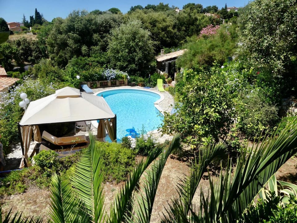 Garden, Swimming pool
