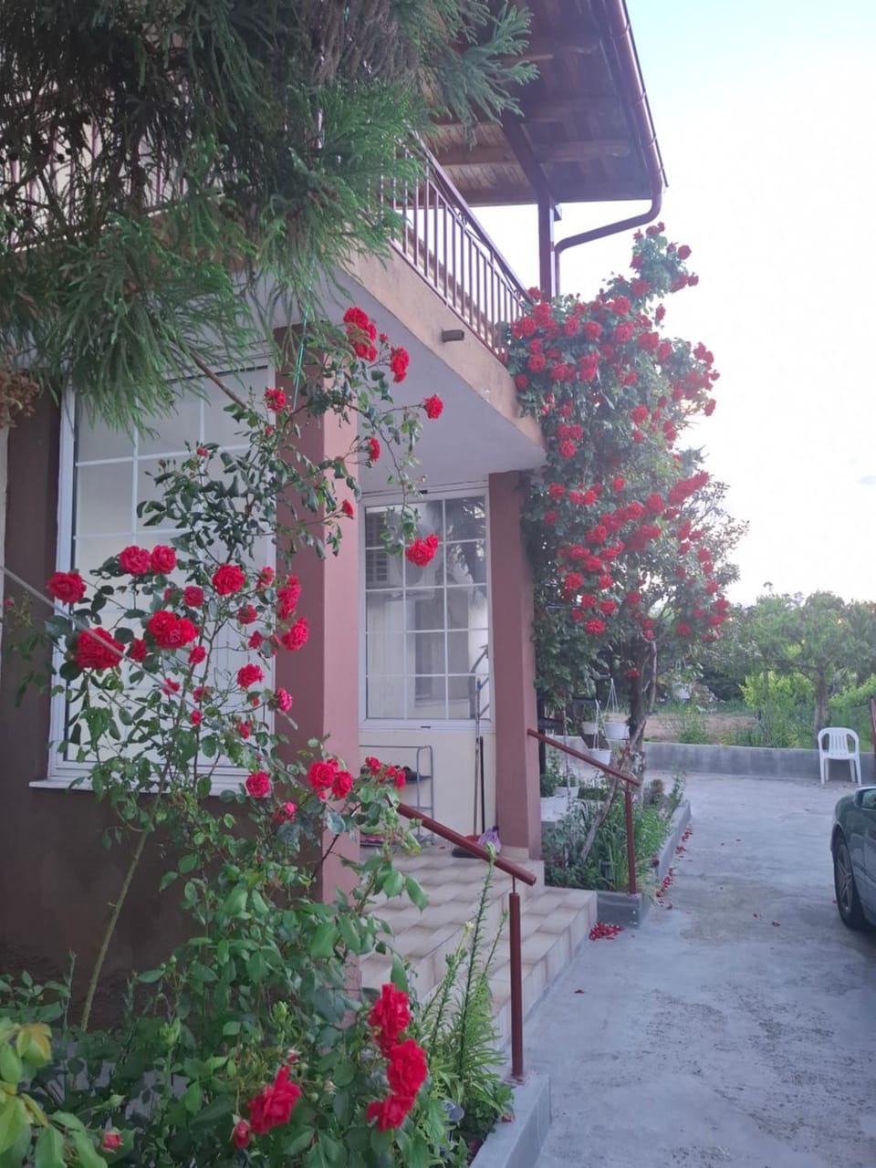 Property building, Garden, Garden view, Parking