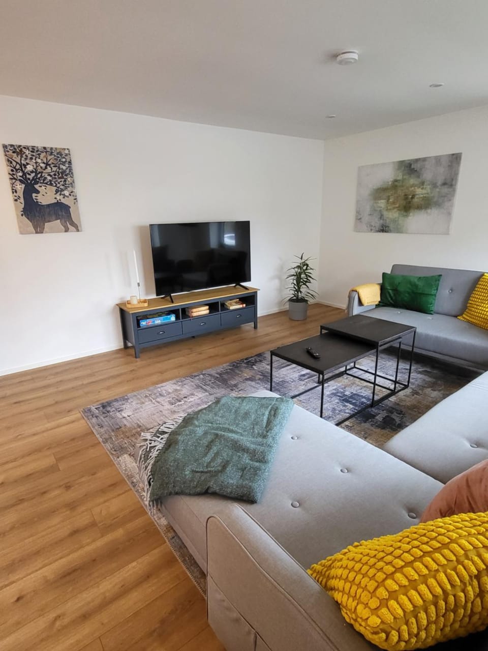 Communal lounge/ TV room, TV and multimedia, Living room