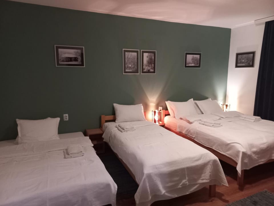 B&B Vila Babin zub Bed and Breakfast in Serbia