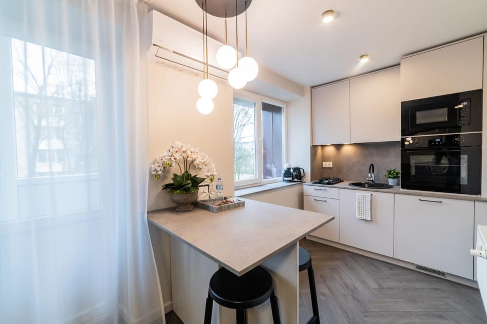 Frida Elite Apartments Apartment in Lithuania