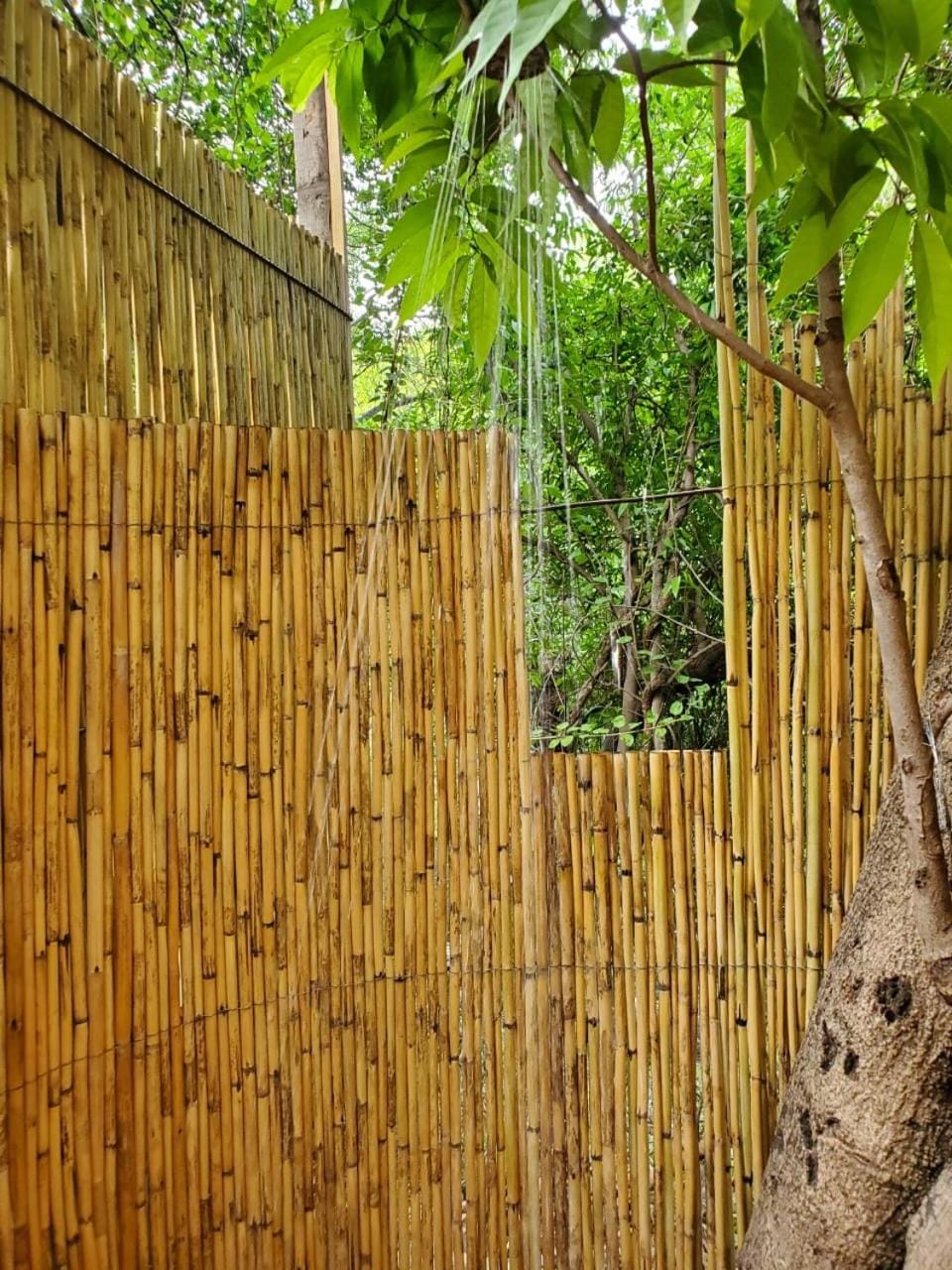 Glamping Cabaña de Granja El Sol Teques y Naturaleza Campground/ 
RV Resort in State of Morelos