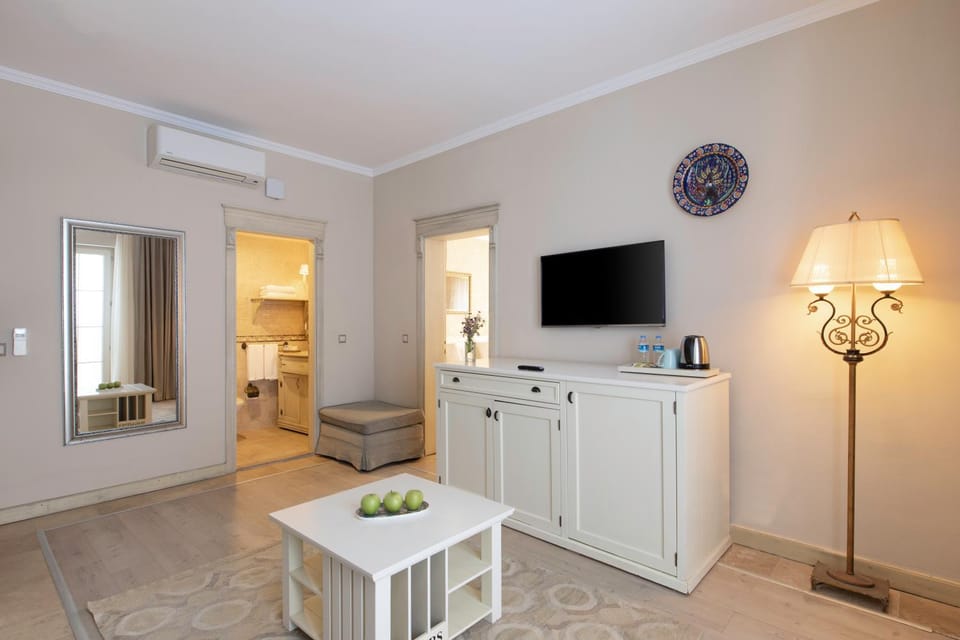 TV and multimedia, Living room, Seating area, air conditioner