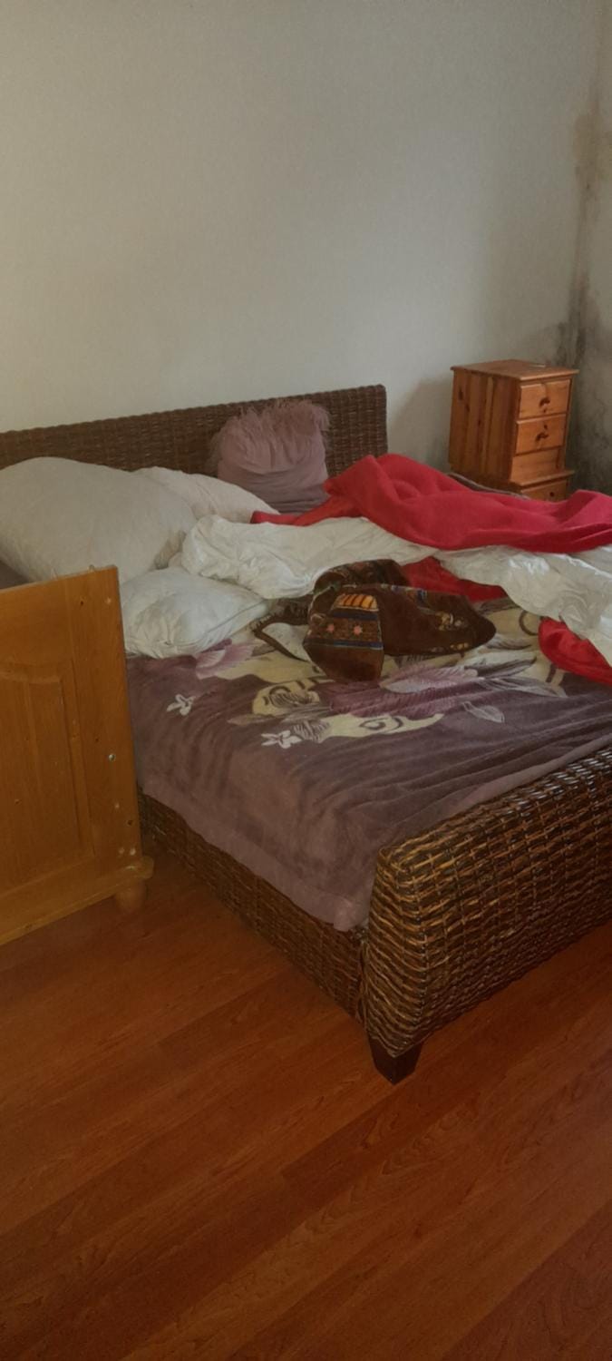 Doppelbett Zimmer in mulhouse Centre Apartment in Mulhouse