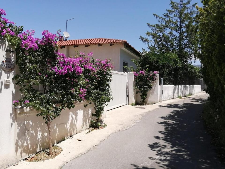 Spring, Day, Neighbourhood, Street view