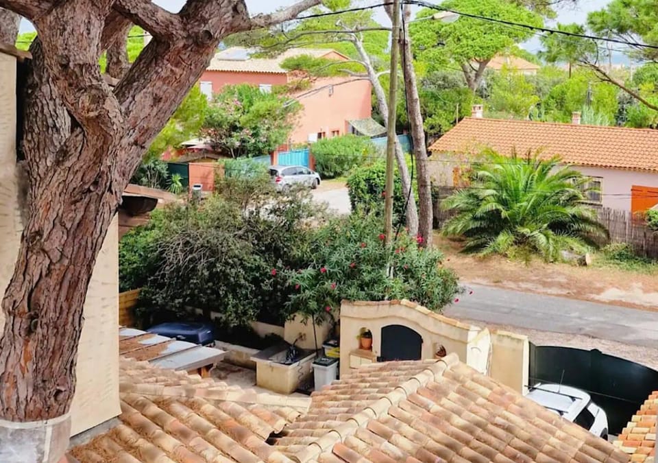 Day, Neighbourhood, Garden view, Street view