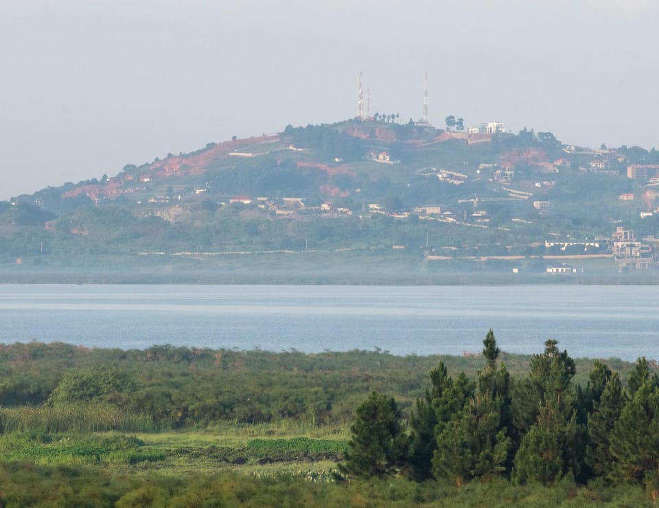 Lake view