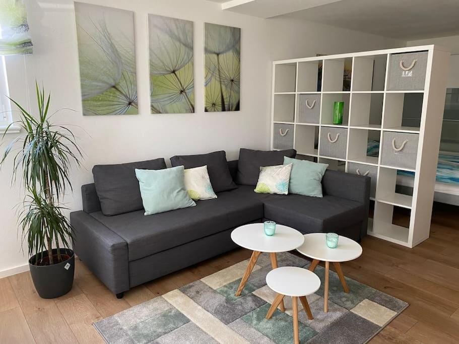 Wohnstudio für bis zu 1-4 Personen nahe Bodensee Apartment in Baden-Württemberg