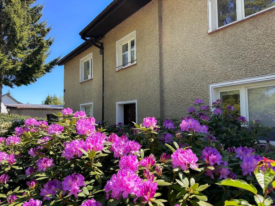 Property building, Spring, Garden, Garden view, Area and facilities, Area and facilities