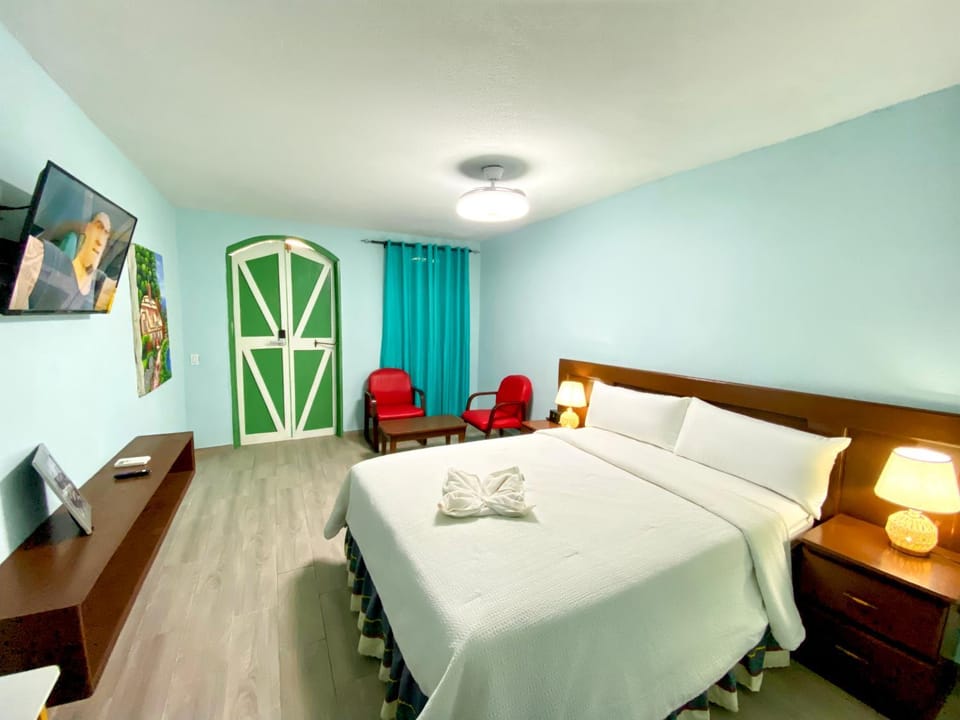 Bed, Living room, Photo of the whole room, Bedroom