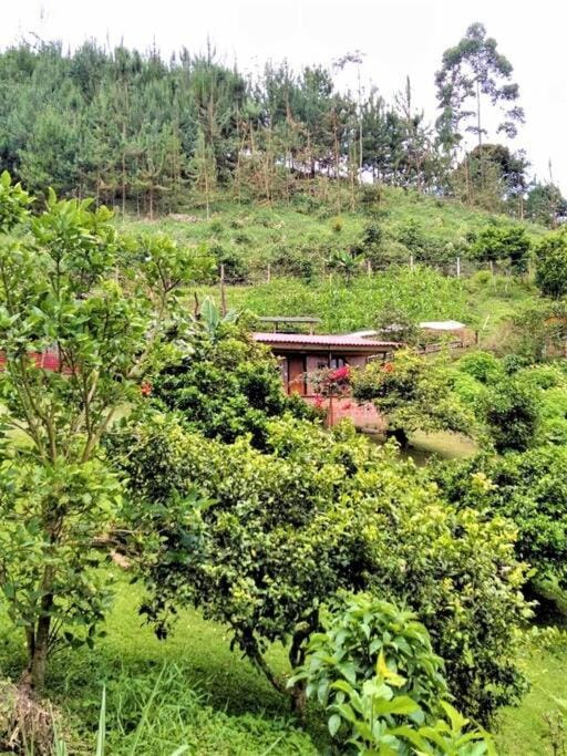 Tesorito House en las Montañas del Quindío House in Quindio, Colombia