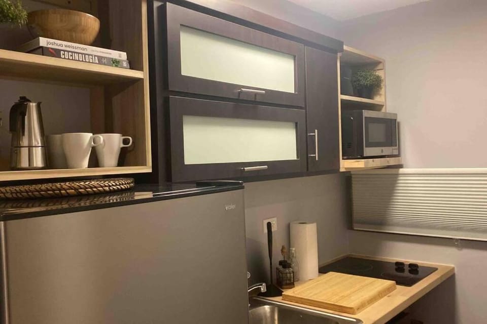 Condado Beach Organic Jewel King Size Apartment in San Juan