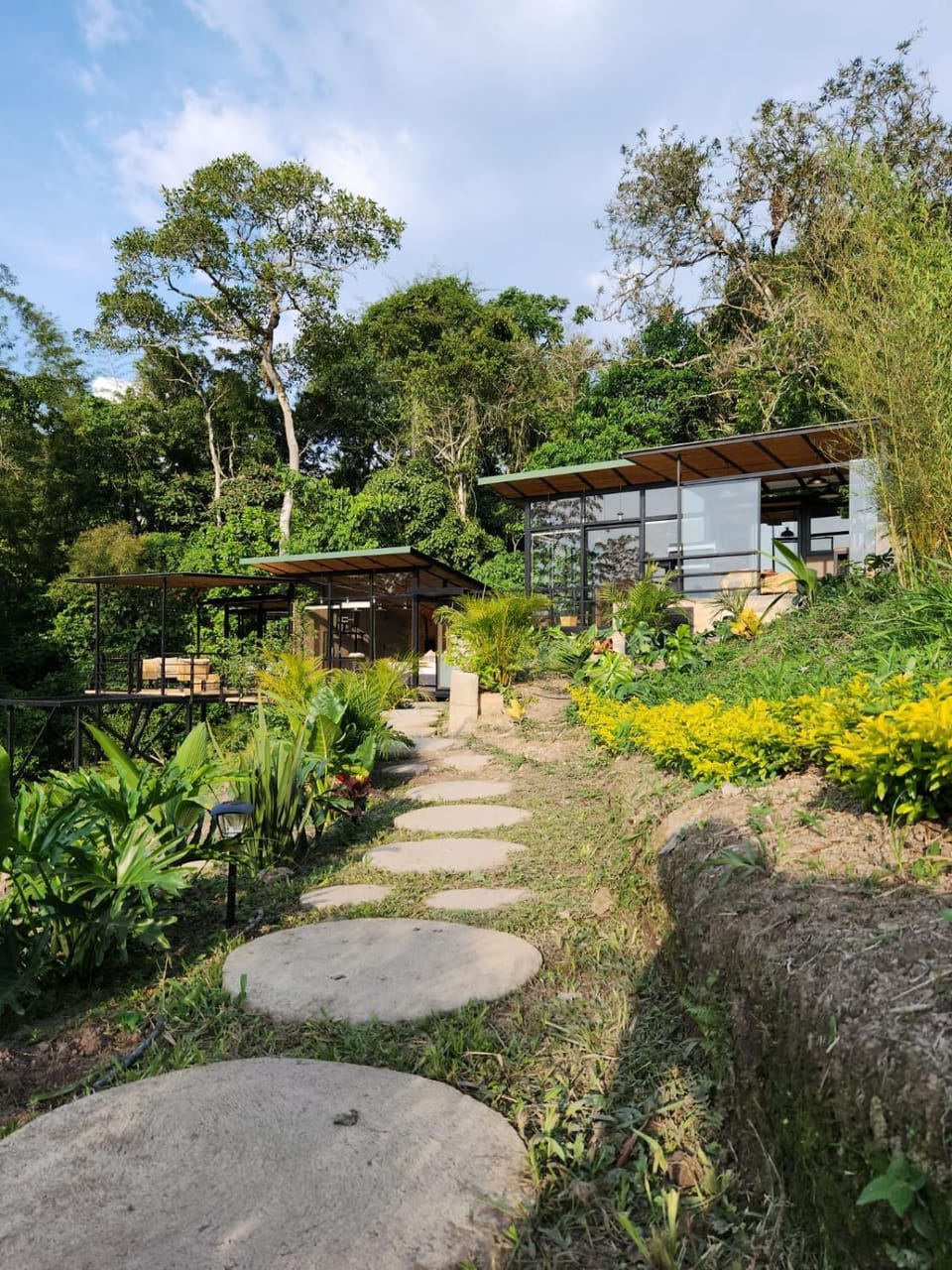 Garden view
