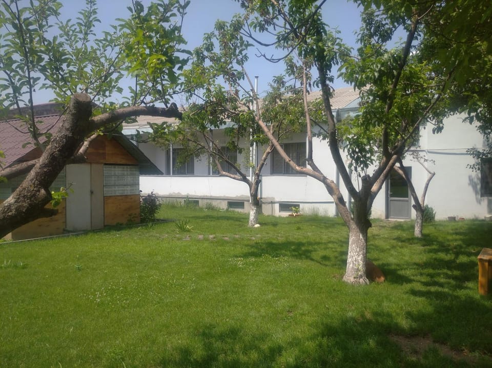 Property building, Garden, Garden view